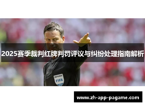 2025赛季裁判红牌判罚评议与纠纷处理指南解析