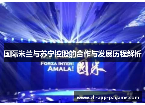 国际米兰与苏宁控股的合作与发展历程解析