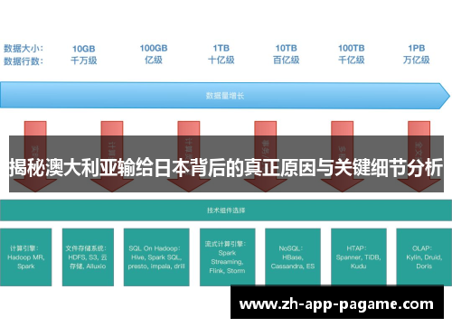 揭秘澳大利亚输给日本背后的真正原因与关键细节分析