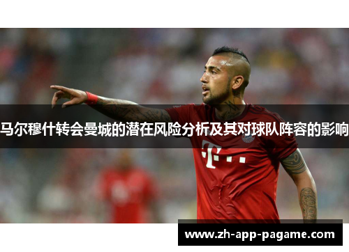 马尔穆什转会曼城的潜在风险分析及其对球队阵容的影响